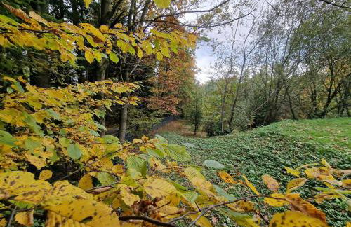 Budzi nas las Marcyporęba - Duży domek - Photo 32
