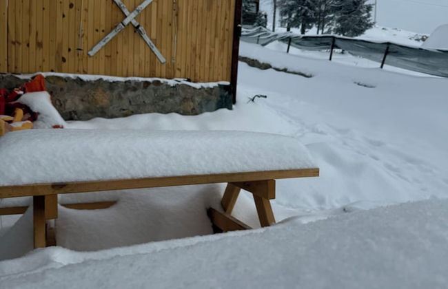 Ny Çambaşı - Foto 1