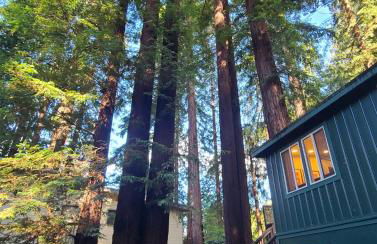 Dhyana Redwoods Fire Table Nearby River Access Ping Pong & Arcade Games - Foto 29