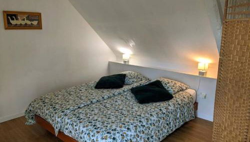 La petite corbière - Chez Hélène - Gîtes en baie - Foto 5