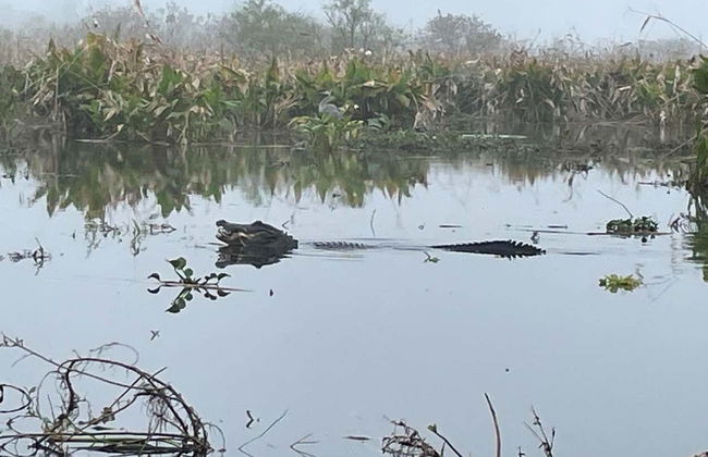 Everglades Day Trip - Photo 3