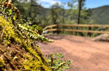 Mas Morrenyà - Casa rural - Photo 45