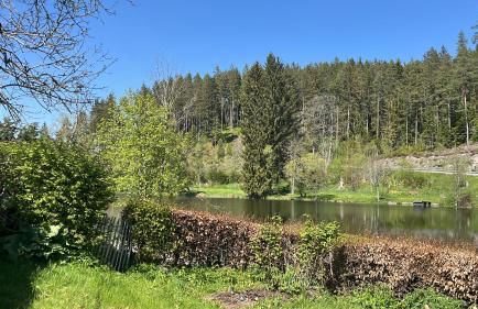 HAUS AM SEE - Natur Pur - Foto 61