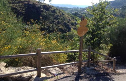 Casa da Avó - Foto 43