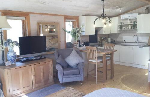 The Lodge - Luxury Lodge with Super King Size Bed, Kitchen & Shower Room - Foto 23