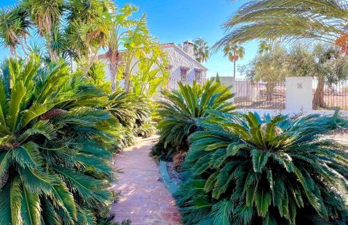 Finca Sol - Adults only - Foto 4