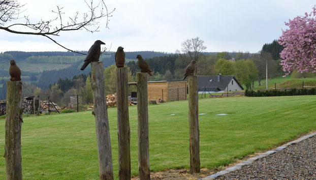 Beautiful Stone Cottage With Panoramic Views - Foto 2, Golf