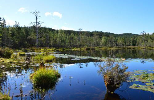 Rosemount Bothy - Highland Cottage - Foto 56