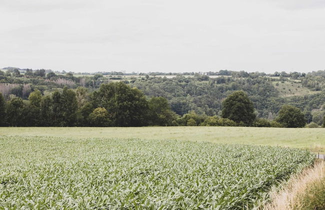 Romantic Woodland Chalet - Photo 37