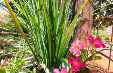 Casa do Cedro - Foto 19