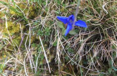 Weardale Cottage - Photo 21