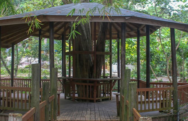 The Blue Mahoe Treehouse - Photo 16