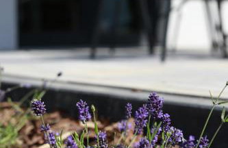 Przystań Nad Miążką - Foto 20