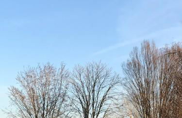 Agriturismo Castagna Amara - Foto 45