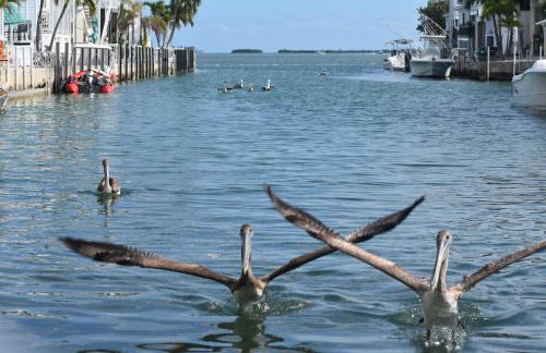 Pelican's Roost, Waterfront comfort at Venture Out - Foto 57