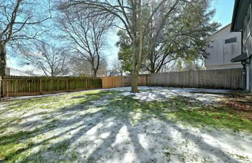 Modern Family Home, Close to Typhoon Texas and Tesla Gigafactory - Photo 19