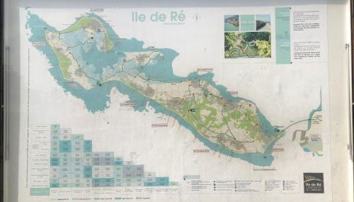 La rose trémière - Foto 2