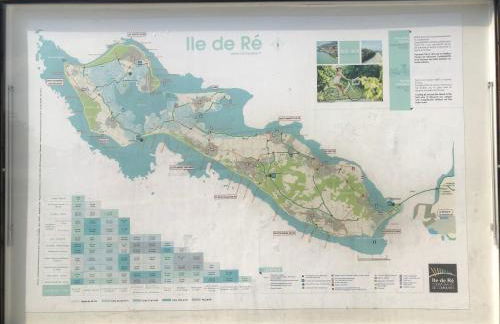 La rose trémière - Foto 2