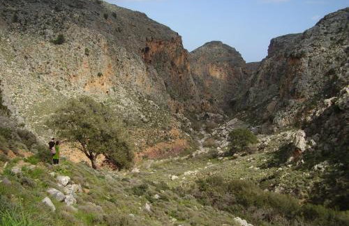 Carissa house in Crete - Foto 54