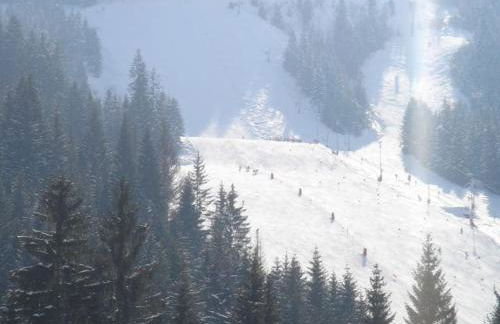 Chalet à Châtel, Proche des Pistes, 5 Pers, Parking Inclus - FR-1-676-153 - Foto 12