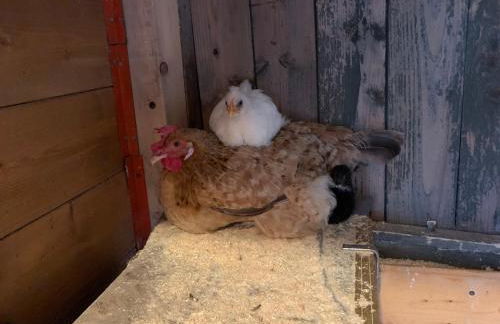 La Fabbrichina - Foto 76