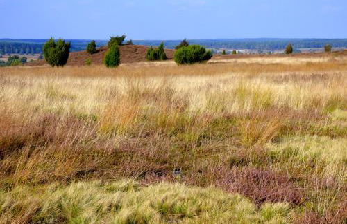 Fewo-Mundi - Foto 38