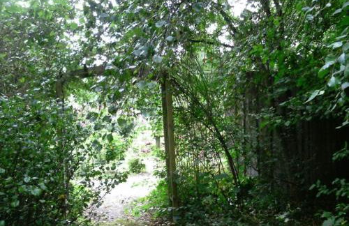 Ferienhaus in der Lüneburger Heide - Foto 21