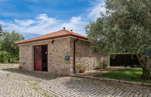 Casa do Alambique - Douro - Foto 22