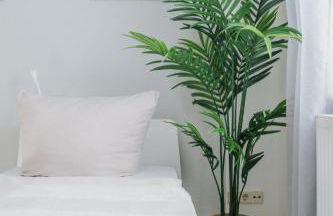 Ferienwohnung an der Kirche - Foto 10