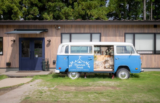 Hamiru's Forest - Foto 16