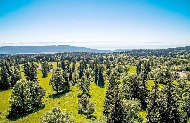 Chalet de la Vue des Alpes - Foto 6