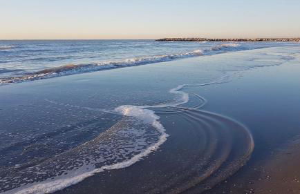 Bungalow bei Emma - Foto 15