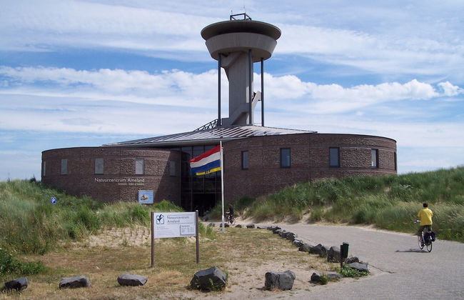 Bungalow in Nes on Ameland With Spacious Terrace - Foto 34