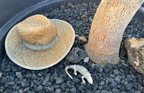 "El Ático Bonito"-Penthaus-Whirlpool-Atlantikblick - Photo 45