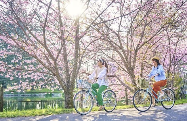 The Prince Villa Karuizawa - Foto 37