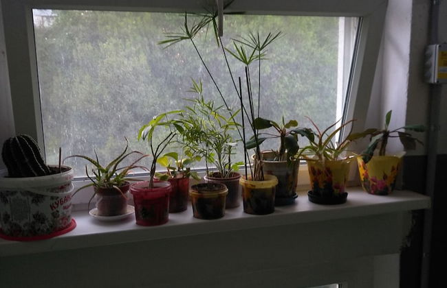 Apartment on Krymskaya 36 Green Area 9 - Photo 8