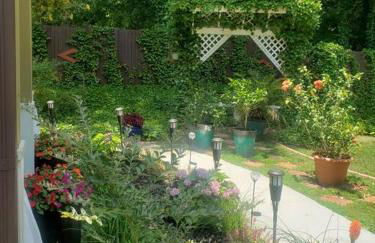 Suburban Cottage - Foto 10