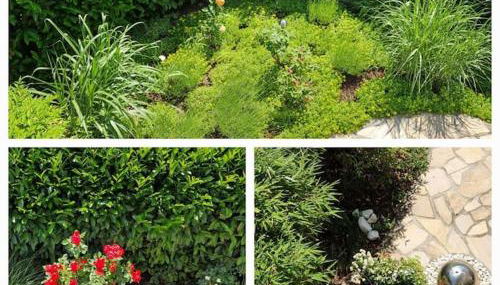 Zimmer zw. Lüneburg und Hamburg - Foto 2