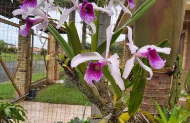 Residencial da Praia 4 - Foto 14