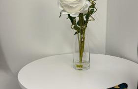 Posh Executive Studio London - Foto 29