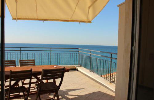 Les Agrumes - Foto 24