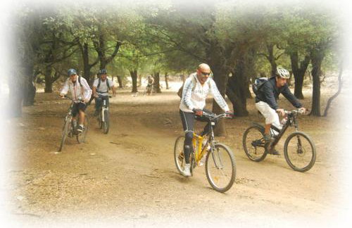 Arodamos Guesthouse - Foto 51