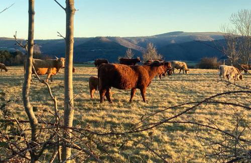 Charmante maison au coeur d'un village auvergnat - Foto 43