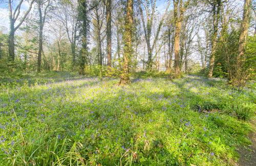 Little Willow Bank - 1 bed luxury apartment between Salisbury and The New Forest - Foto 59