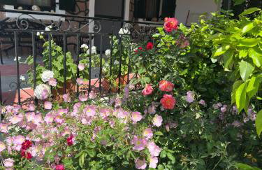 Elea Houses - Foto 12