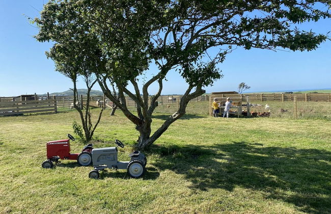 Swift Vogue Edition Caravan - Photo 31