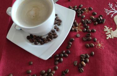 Apartament Zamkowe Wzgórze - Foto 8