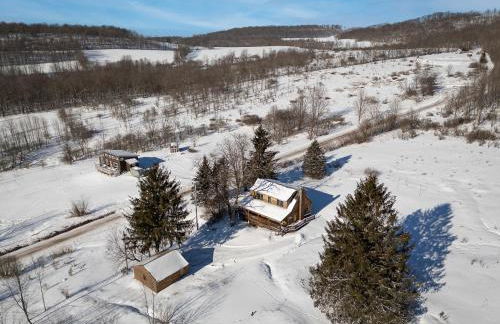 Stella Firma - Foto 28