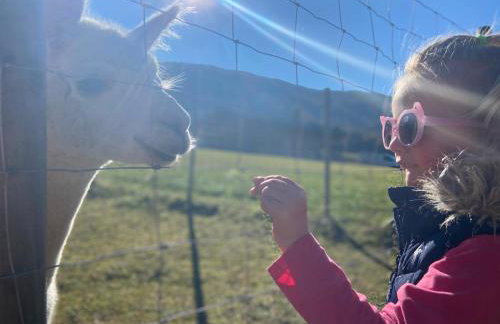 Aparthotel Familiaris - Family Apartments - Pools & Spa in Dolomites - Photo 40