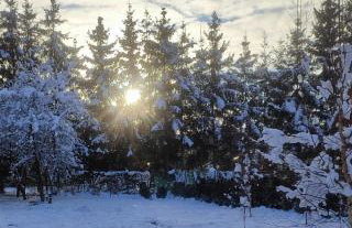 Winiec 218/8 - Foto 31